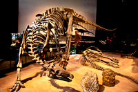 Minnesota Science Musuem 1-12